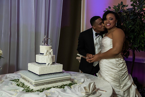 Wilkins Simpson Wedding 01172015 (250)