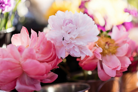 plant-street-flower-cart-branding-photos-mothers-day-weekend 1085final
