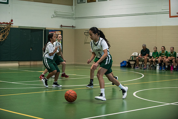 Holy-Family-Lady-Lions-Basketball-Team 1014