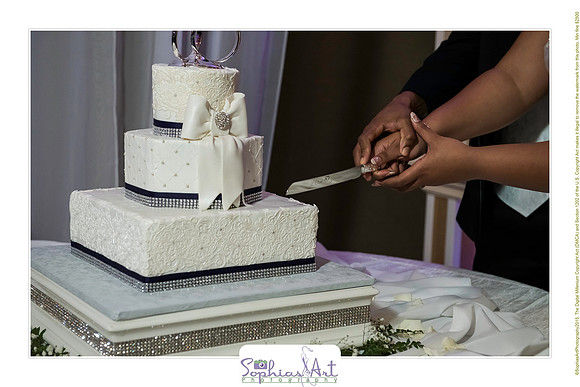 Wilkins Simpson Wedding 01172015 (252)