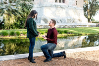 michael-and-emily-proposal 1009final