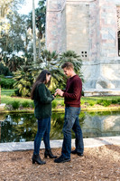 michael-and-emily-proposal 1017final