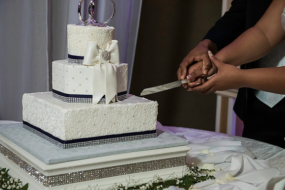 Wilkins Simpson Wedding 01172015 (252)