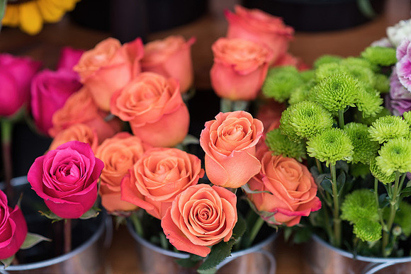 plant-street-flower-cart-june-july-2021-winter-garden 1025final