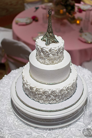 Beautiful Bride Orlando-27