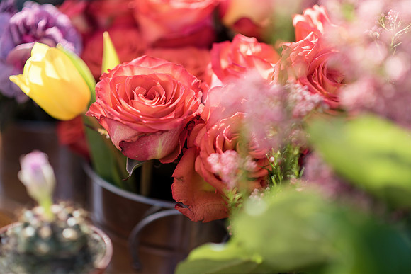 Plant-Street-Flower-Cart-April-May-2021-Winter-Garden 1062final