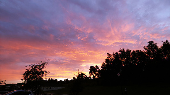20200915_070705_HDR