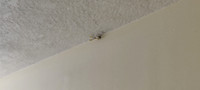 IMG20250104122856