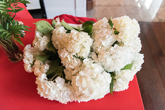 no-1-flowers-floral-workshop-luxmore 1009final