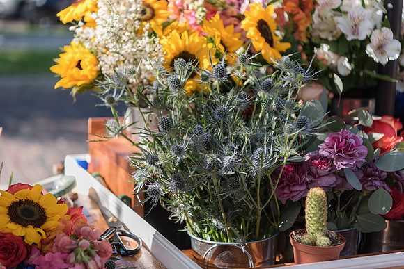 Plant-Street-Flower-Cart-April-May-2021-Winter-Garden 1033final