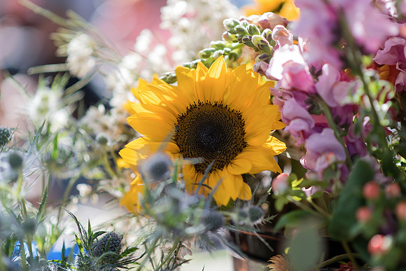 Plant-Street-Flower-Cart-April-May-2021-Winter-Garden 1070final