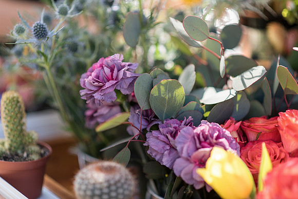Plant-Street-Flower-Cart-April-May-2021-Winter-Garden 1061final
