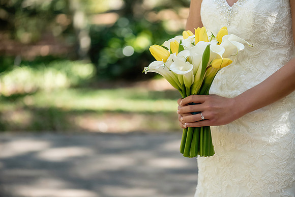 leu-gardens-wedding-jackie-and-constantine 1258-Edit