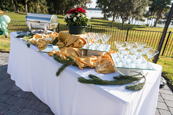 blaire-wedding-mount-dora 1233