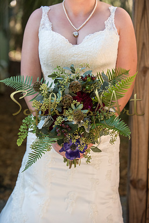 Haley and William (67 of 721)