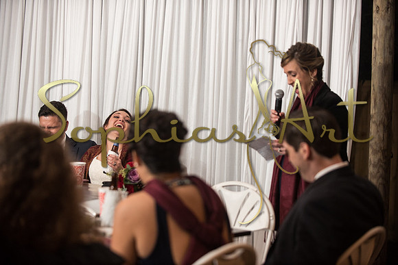 Haley and William (419 of 721)