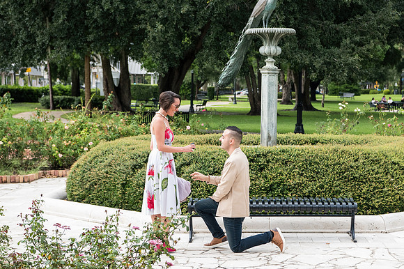Andrew and Nia Proposal 0006