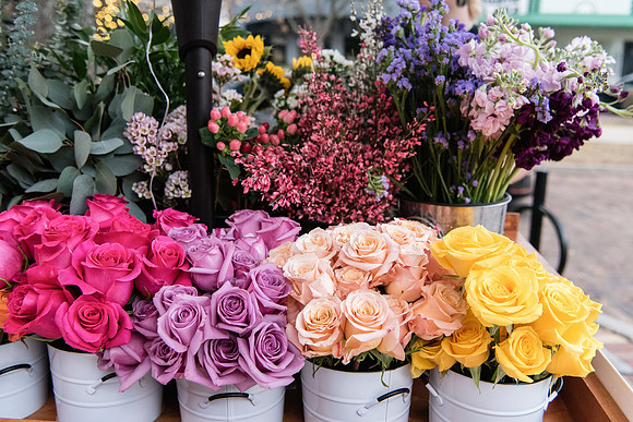 Plant Street February 2022 (29 of 45)