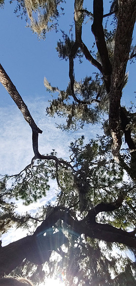 20200623_111236_HDR