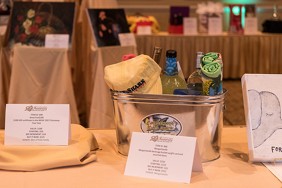holy-family-school-anniversary-gala-and-auction-1013