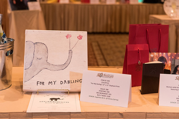 holy-family-school-anniversary-gala-and-auction-1014