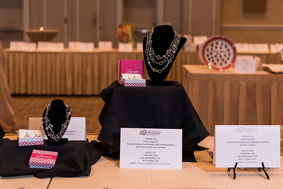 holy-family-school-anniversary-gala-and-auction-1031