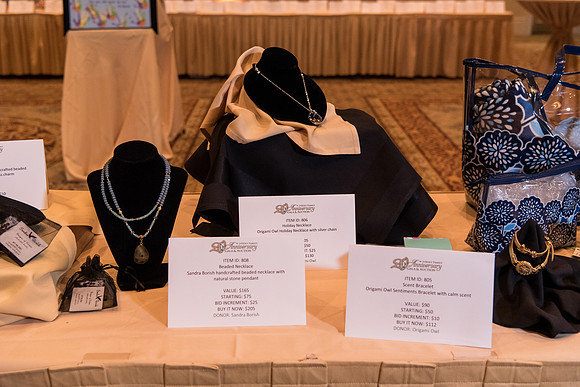 holy-family-school-anniversary-gala-and-auction-1041