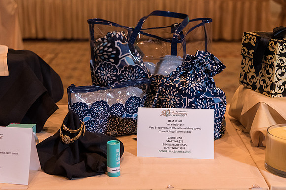 holy-family-school-anniversary-gala-and-auction-1042