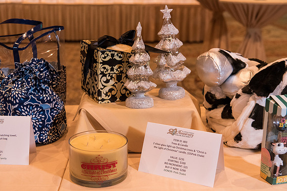 holy-family-school-anniversary-gala-and-auction-1043