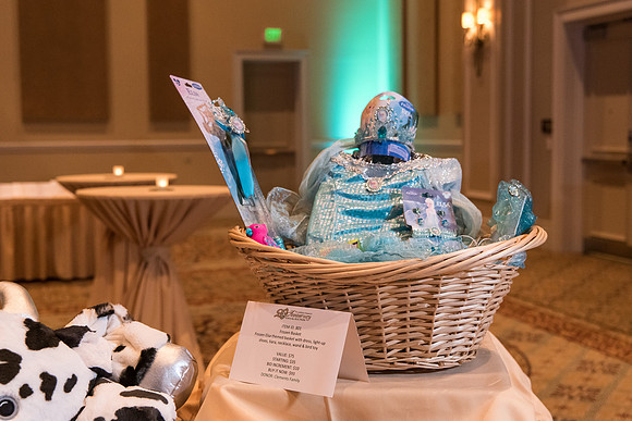 holy-family-school-anniversary-gala-and-auction-1045