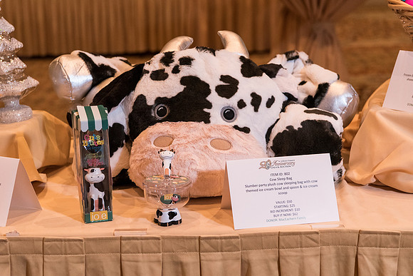 holy-family-school-anniversary-gala-and-auction-1044