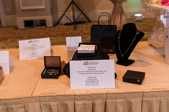 holy-family-school-anniversary-gala-and-auction-1057