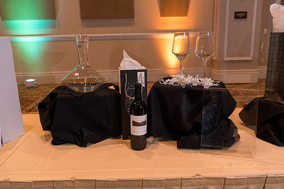 holy-family-school-anniversary-gala-and-auction-1063