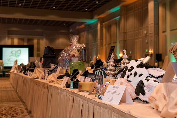 holy-family-school-anniversary-gala-and-auction-1070