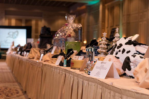 holy-family-school-anniversary-gala-and-auction-1071
