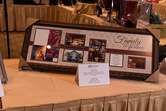 holy-family-school-anniversary-gala-and-auction-1073
