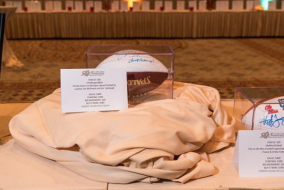 holy-family-school-anniversary-gala-and-auction-1109