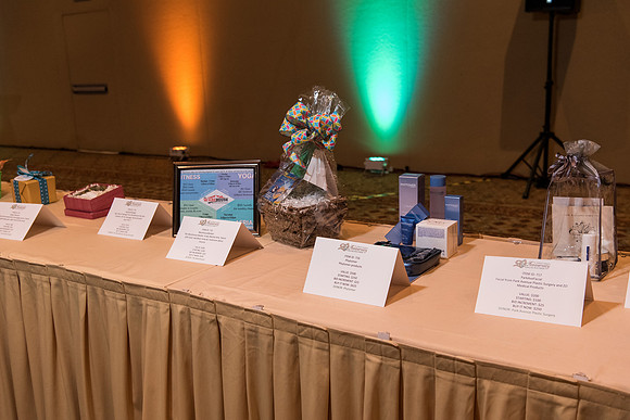 holy-family-school-anniversary-gala-and-auction-1118