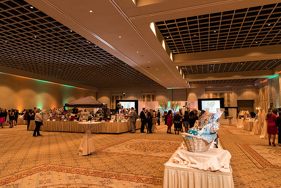 holy-family-school-anniversary-gala-and-auction-1169