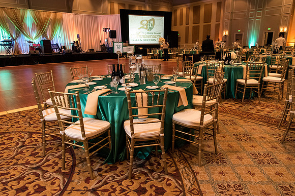 holy-family-school-anniversary-gala-and-auction-1196