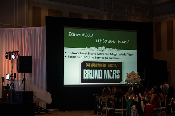 holy-family-school-anniversary-gala-and-auction-1317