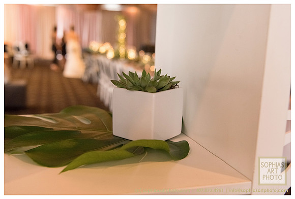 citrus-club-summer-soiree-1095