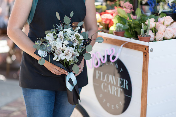 Plant-Street-Flower-Cart-April-May-2021-Winter-Garden 1096final