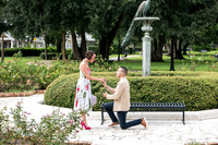 Andrew and Nia Proposal 0004