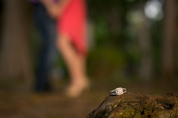 Weaver Engagement -570-1500