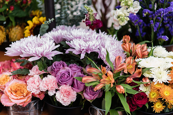 plant-street-flower-cart-nov-dec-2021 1057final