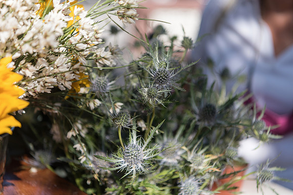 Plant-Street-Flower-Cart-April-May-2021-Winter-Garden 1032final