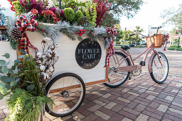 plant-street-flower-cart-november-2020 1121final