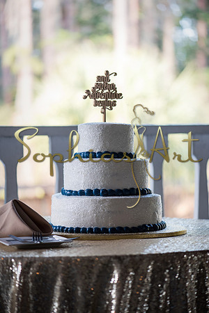 paradise-cove-wedding-alicia-and-rob-hero-1017