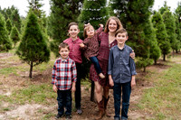 sophias-art-photo-orlando-christmas-mini-sessions-eisnaugle-family 1003-Editfinal